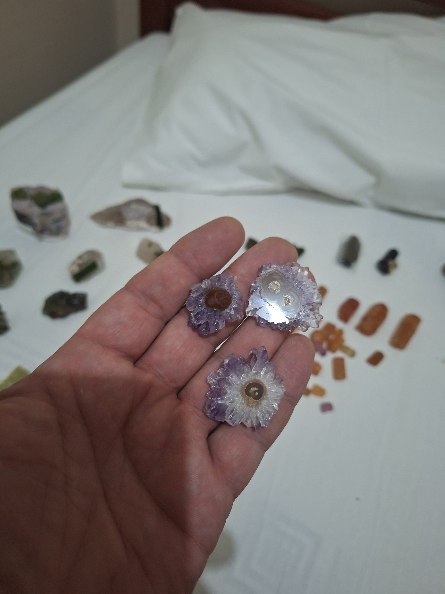 Expedition photo 3