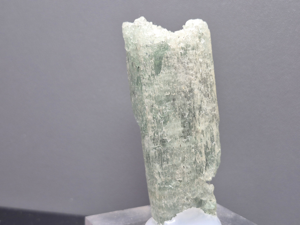 Beryl