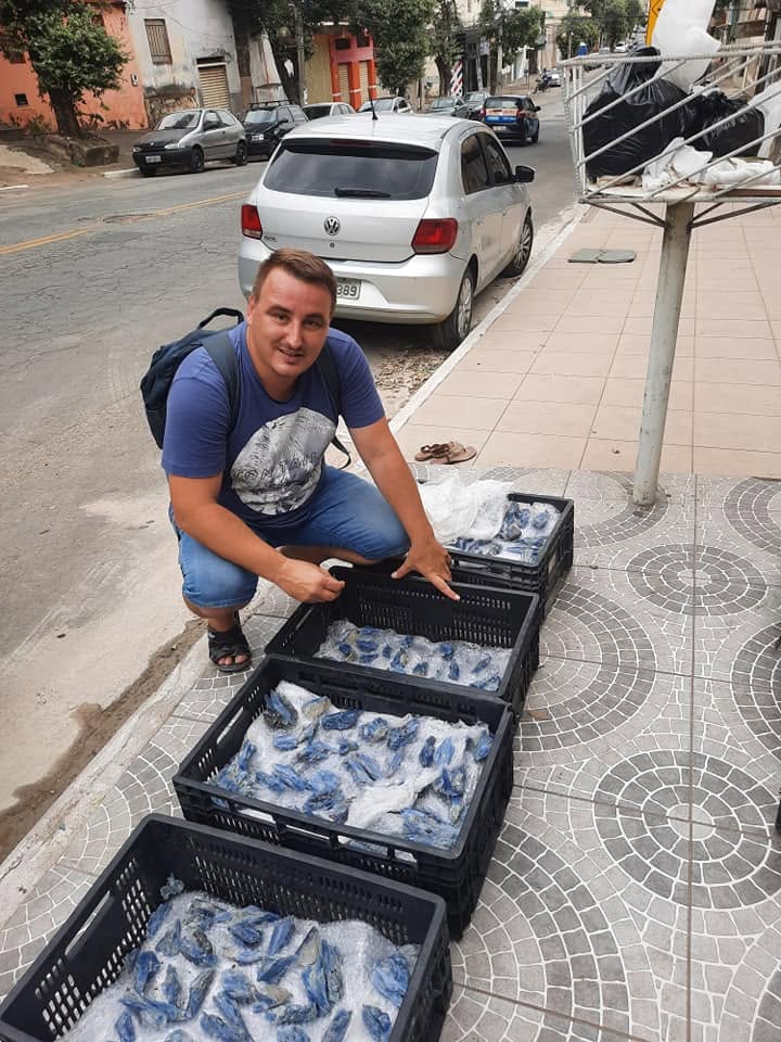 Direct sourcing — Brazil